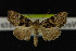  ( - NOC14255)  @13 [ ] Unspecified (default): All Rights Reserved  Unspecified Unspecified