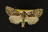 ( - NOC14256)  @14 [ ] Unspecified (default): All Rights Reserved  Unspecified Unspecified