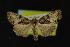  ( - NOC14257)  @13 [ ] Unspecified (default): All Rights Reserved  Unspecified Unspecified