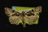  ( - NOC14257)  @13 [ ] Unspecified (default): All Rights Reserved  Unspecified Unspecified