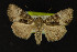  ( - NOC14258)  @12 [ ] Unspecified (default): All Rights Reserved  Unspecified Unspecified