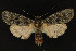  ( - NOC14273)  @13 [ ] Unspecified (default): All Rights Reserved  Unspecified Unspecified