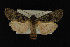  ( - NOC14276)  @11 [ ] Unspecified (default): All Rights Reserved  Unspecified Unspecified