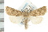  ( - CNC LEP00053169)  @14 [ ] CreativeCommons - Attribution (2008) Unspecified Centre for Biodiversity Genomics