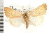  ( - CNC LEP00053204)  @14 [ ] CreativeCommons - Attribution (2008) Unspecified Centre for Biodiversity Genomics
