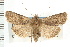  ( - CNC LEP00053224)  @14 [ ] CreativeCommons - Attribution (2008) Unspecified Centre for Biodiversity Genomics