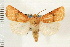  ( - CNC LEP00053246)  @14 [ ] CreativeCommons - Attribution (2008) Unspecified Centre for Biodiversity Genomics