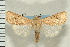  ( - CNC LEP00053250)  @13 [ ] CreativeCommons - Attribution (2008) Unspecified Centre for Biodiversity Genomics