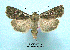  ( - UASM107733)  @13 [ ] Unspecified (default): All Rights Reserved  Unspecified Unspecified