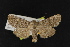 ( - NOC14858)  @13 [ ] Unspecified (default): All Rights Reserved  Unspecified Unspecified