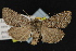 ( - NOC14859)  @14 [ ] Unspecified (default): All Rights Reserved  Unspecified Unspecified