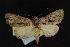  ( - NOC14865)  @13 [ ] Unspecified (default): All Rights Reserved  Unspecified Unspecified