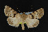  ( - NOC14912)  @14 [ ] Unspecified (default): All Rights Reserved  Unspecified Unspecified