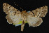  ( - NOC14913)  @15 [ ] Unspecified (default): All Rights Reserved  Unspecified Unspecified