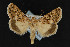  ( - NOC14915)  @14 [ ] Unspecified (default): All Rights Reserved  Unspecified Unspecified