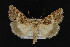  ( - NOC14916)  @14 [ ] Unspecified (default): All Rights Reserved  Unspecified Unspecified