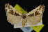  ( - NOC14928)  @14 [ ] Unspecified (default): All Rights Reserved  Unspecified Unspecified