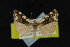  ( - NOC14930)  @14 [ ] Unspecified (default): All Rights Reserved  Unspecified Unspecified