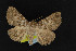  ( - NOC14933)  @14 [ ] Unspecified (default): All Rights Reserved  Unspecified Unspecified