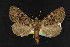  ( - NOC14937)  @13 [ ] Unspecified (default): All Rights Reserved  Unspecified Unspecified