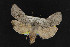  ( - NOC14939)  @13 [ ] Unspecified (default): All Rights Reserved  Unspecified Unspecified