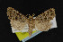  ( - NOC14947)  @14 [ ] Unspecified (default): All Rights Reserved  Unspecified Unspecified