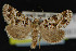  (Paramiana - NOC14949)  @15 [ ] Unspecified (default): All Rights Reserved  Unspecified Unspecified