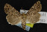  ( - NOC14958)  @13 [ ] Unspecified (default): All Rights Reserved  Unspecified Unspecified