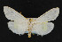  ( - NOC14986)  @13 [ ] Unspecified (default): All Rights Reserved  Unspecified Unspecified