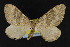  ( - NOC14998)  @14 [ ] Unspecified (default): All Rights Reserved  Unspecified Unspecified