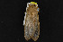  ( - NOC15001)  @11 [ ] Unspecified (default): All Rights Reserved  Unspecified Unspecified