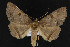  ( - NOC15004)  @12 [ ] Unspecified (default): All Rights Reserved  Unspecified Unspecified