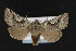 ( - NOC15008)  @13 [ ] Unspecified (default): All Rights Reserved  Unspecified Unspecified
