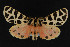  ( - NOC15015)  @13 [ ] Unspecified (default): All Rights Reserved  Unspecified Unspecified