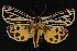  ( - NOC15019)  @14 [ ] Unspecified (default): All Rights Reserved  Unspecified Unspecified