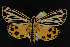  ( - NOC15020)  @14 [ ] Unspecified (default): All Rights Reserved  Unspecified Unspecified