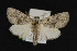  ( - NOC15024)  @14 [ ] Unspecified (default): All Rights Reserved  Unspecified Unspecified