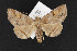  ( - CNC LEP00052206)  @13 [ ] Unspecified (default): All Rights Reserved  Unspecified Unspecified