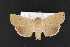  ( - CNC LEP00052210)  @13 [ ] Unspecified (default): All Rights Reserved  Unspecified Unspecified