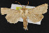  ( - CNC LEP00052223)  @12 [ ] Unspecified (default): All Rights Reserved  Unspecified Unspecified