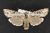  ( - CNC LEP00052235)  @13 [ ] Unspecified (default): All Rights Reserved  Unspecified Unspecified