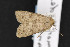  ( - CNC LEP00052238)  @13 [ ] Unspecified (default): All Rights Reserved  Unspecified Unspecified