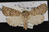  ( - CNC LEP00052240)  @14 [ ] Unspecified (default): All Rights Reserved  Unspecified Unspecified