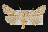 ( - CNC LEP00052245)  @15 [ ] Unspecified (default): All Rights Reserved  Unspecified Unspecified