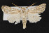  ( - CNC LEP00052252)  @14 [ ] Unspecified (default): All Rights Reserved  Unspecified Unspecified