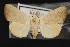  ( - CNC LEP00052256)  @13 [ ] Unspecified (default): All Rights Reserved  Unspecified Unspecified