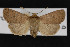  ( - CNC LEP00052257)  @11 [ ] Unspecified (default): All Rights Reserved  Unspecified Unspecified