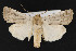  ( - CNC LEP00052268)  @11 [ ] Unspecified (default): All Rights Reserved  Unspecified Unspecified