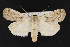  ( - CNC LEP00052269)  @11 [ ] Unspecified (default): All Rights Reserved  Unspecified Unspecified