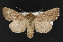  ( - CNC LEP00052270)  @14 [ ] Unspecified (default): All Rights Reserved  Unspecified Unspecified